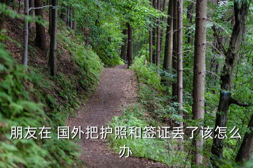 朋友在 国外把护照和签证丢了该怎么办