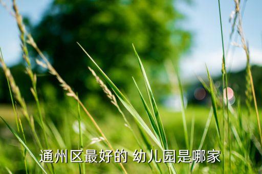 通州区最好的 幼儿园是哪家