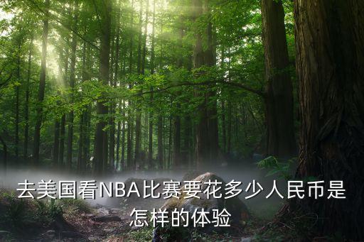 去美国看NBA比赛要花多少人民币是怎样的体验