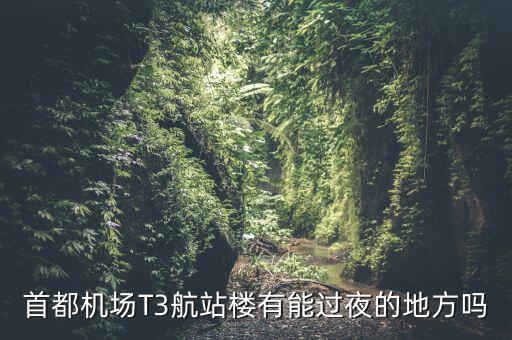 首都机场T3航站楼有能过夜的地方吗