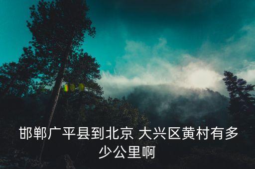 邯郸到大兴国际机场最近的路线,北京大兴国际机场最近的火车站