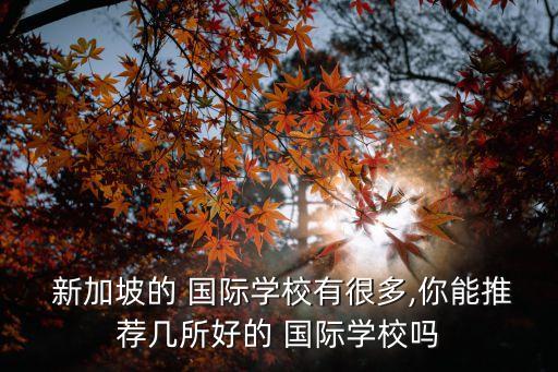  新加坡的 国际学校有很多,你能推荐几所好的 国际学校吗