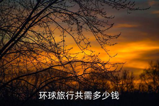 环球旅行共需多少钱
