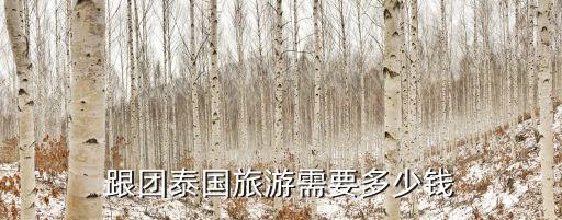 跟团泰国旅游需要多少钱