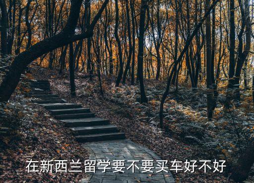 在新西兰留学要不要买车好不好