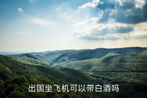 出国坐飞机可以带白酒吗