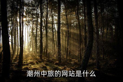 潮州中旅的网站是什么