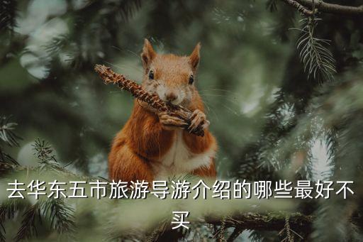 去华东五市旅游导游介绍的哪些最好不买
