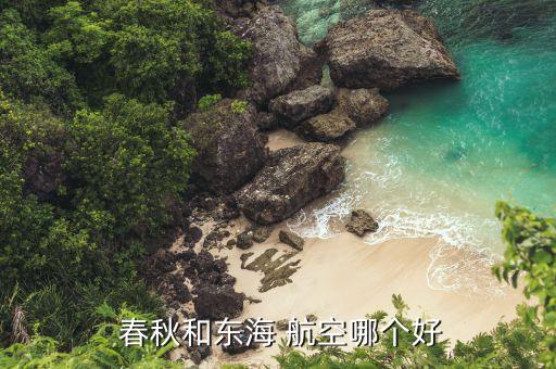  春秋和东海 航空哪个好