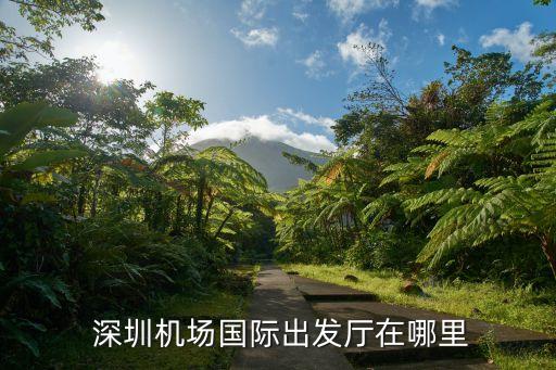 深圳国外航站楼,武汉T3航站楼,是国内还是国外