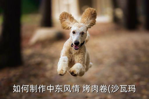 如何制作中东风情 烤肉卷(沙瓦玛