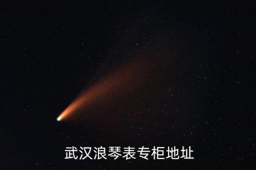  武汉浪琴表专柜地址