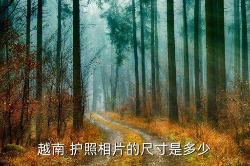 越南 护照相片的尺寸是多少