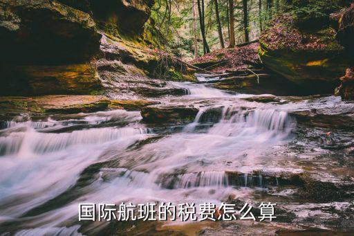 国际航班的税费怎么算