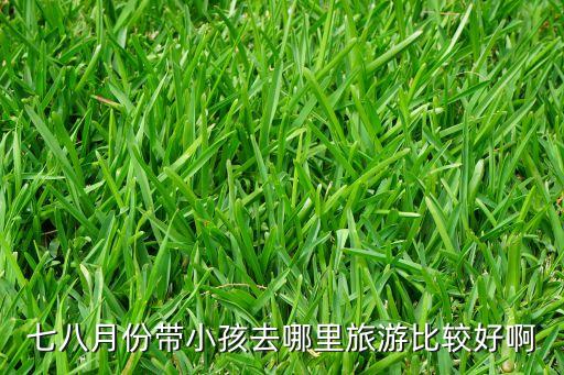 七八月份带小孩去哪里旅游比较好啊