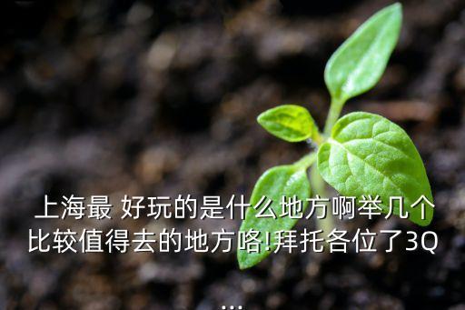  上海最 好玩的是什么地方啊举几个比较值得去的地方咯!拜托各位了3Q...