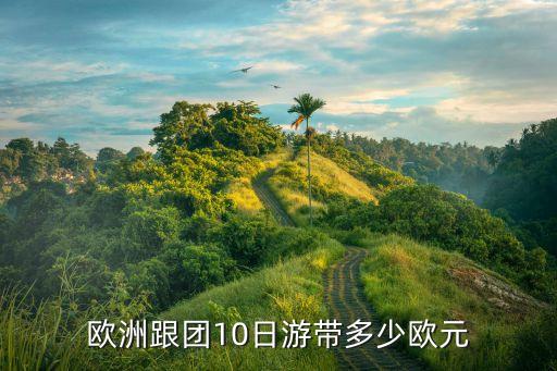 欧洲跟团10日游带多少欧元