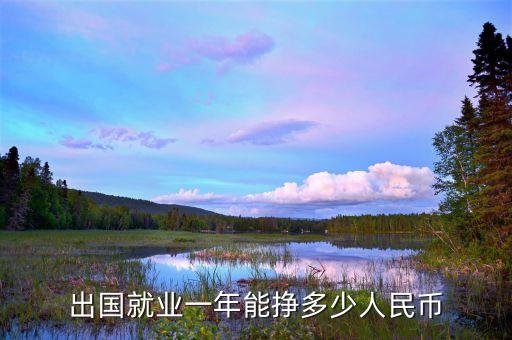 出国一年能挣多少钱，出国就业一年能挣多少人民币
