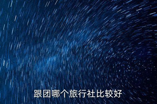 跟团哪个旅行社比较好