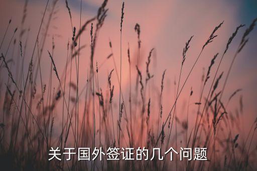 关于国外签证的几个问题