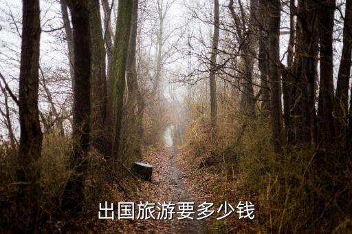 出国旅游要多少钱才能出去，国外旅游要好多钱