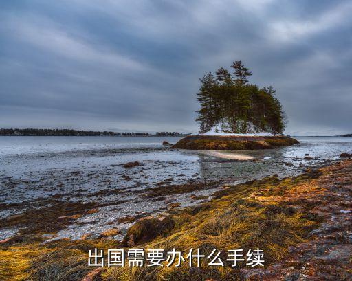 出国需要办什么手续