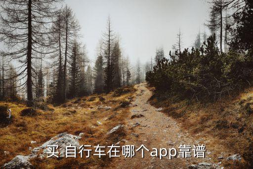 买 自行车在哪个app靠谱
