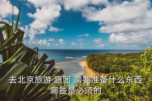 去北京旅游 跟团 需要准备什么东西哪些是必须的