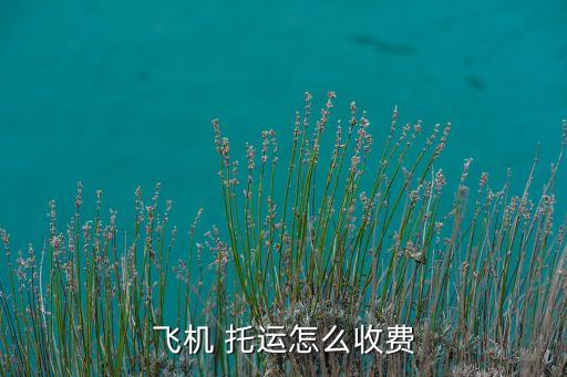 飞机 托运怎么收费
