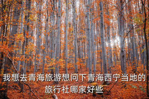 我想去青海旅游想问下青海西宁当地的旅行社哪家好些