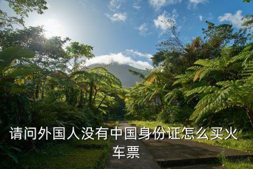 请问外国人没有中国身份证怎么买火 车票