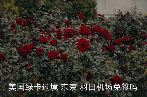 美国绿卡过境 东京 羽田机场免签吗