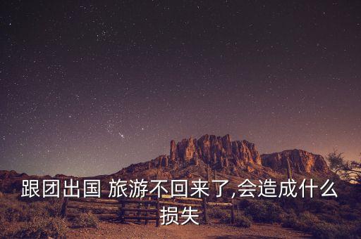 跟团出国 旅游不回来了,会造成什么损失