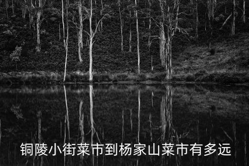  铜陵小街菜市到杨家山菜市有多远