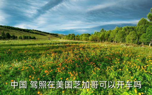 国际驾照互认,美国可以使用中国驾照吗?需要证件组合!