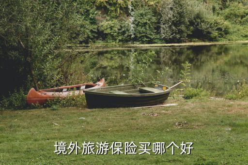 境外旅游保险买哪个好