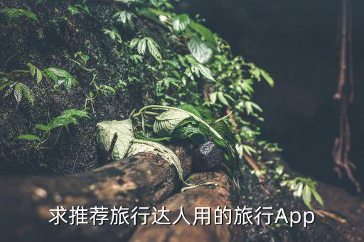 口碑最好的旅游软件排名，本人喜欢旅游求推荐一个比较好用的APP