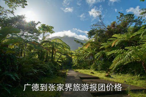 广德到张家界旅游报团价格