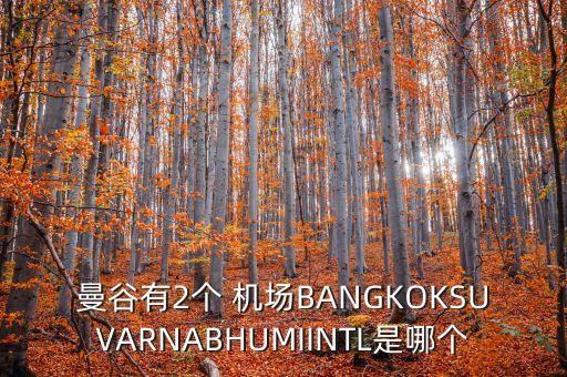 曼谷有2个 机场BANGKOKSUVARNABHUMIINTL是哪个