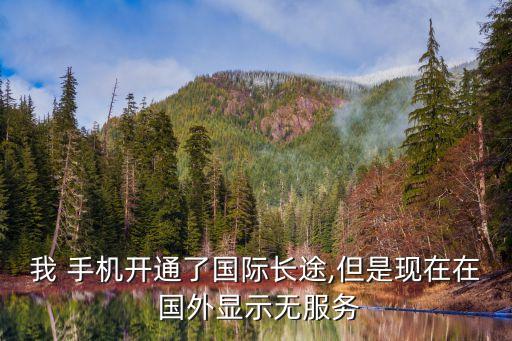 我 手机开通了国际长途,但是现在在 国外显示无服务