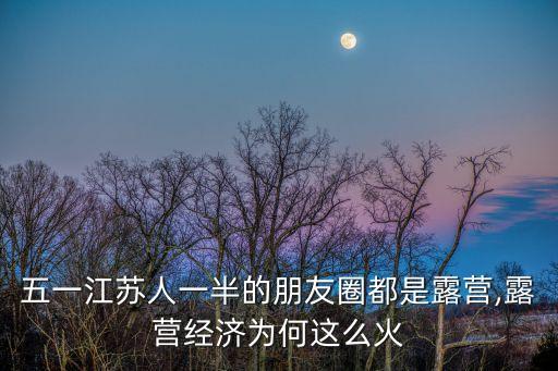 国外野营烧烤,上海适合野营烧烤的地方