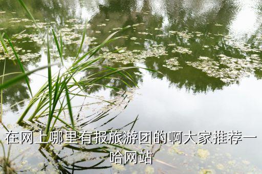 在哪里可以报团旅游，如果一个去旅游在哪报团比较好