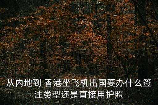 从内地到 香港坐飞机出国要办什么签注类型还是直接用护照