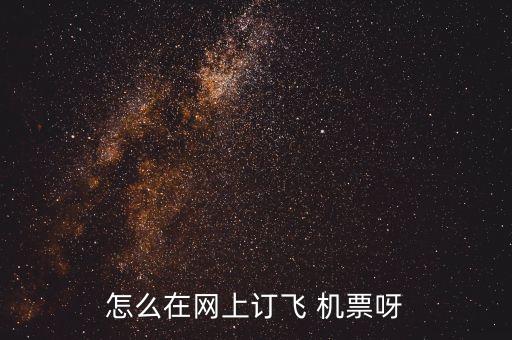 怎么在网上订飞 机票呀