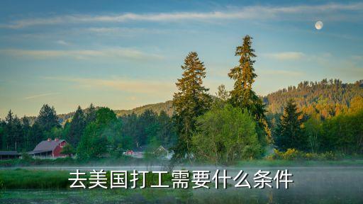 现在去美国打工需要什么条件，去美国打工需要什么条件