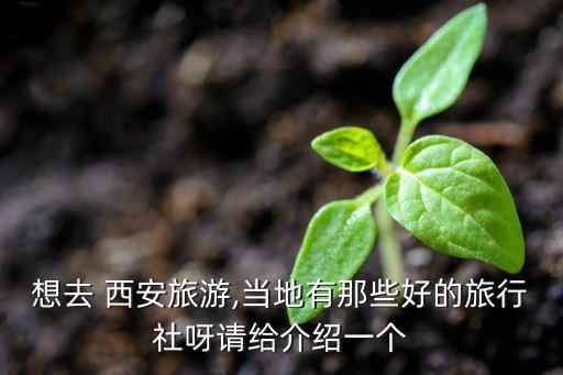 想去 西安旅游,当地有那些好的旅行社呀请给介绍一个