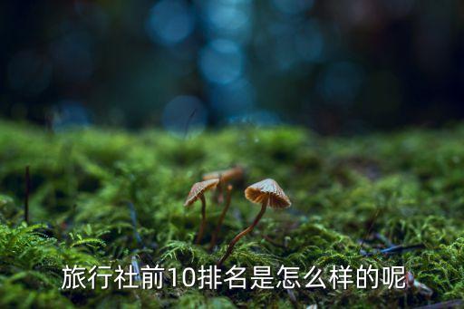 重庆中旅国际旅行社,西安中旅国际旅行社有限责任公司