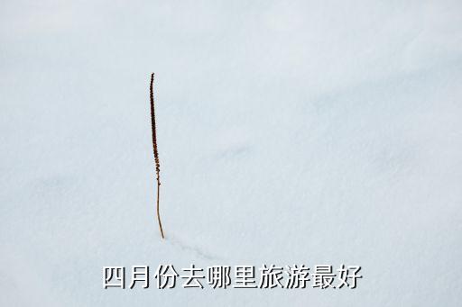 四月份去哪里旅游最好