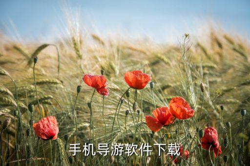 手机导游软件下载