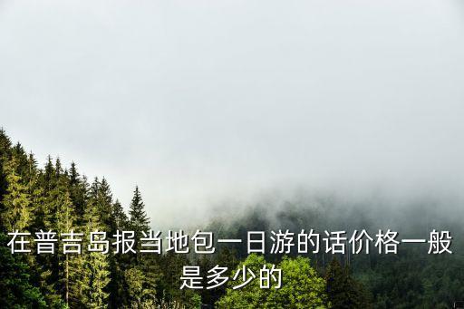 在普吉岛报当地包一日游的话价格一般是多少的